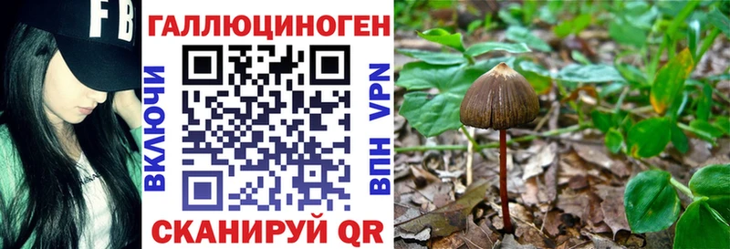 Галлюциногенные грибы Psilocybe Чебаркуль