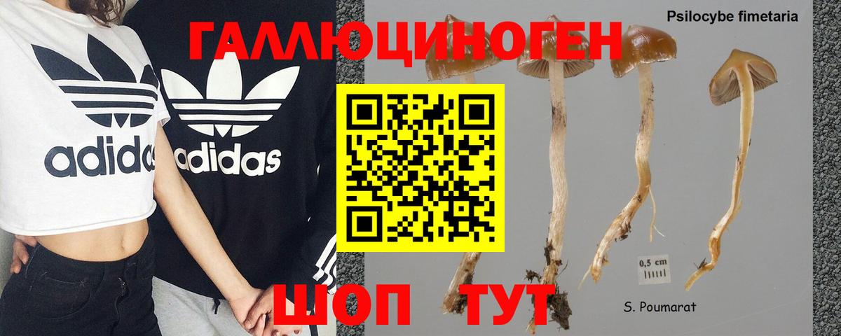 Псилоцибиновые грибы GOLDEN TEACHER Чебаркуль